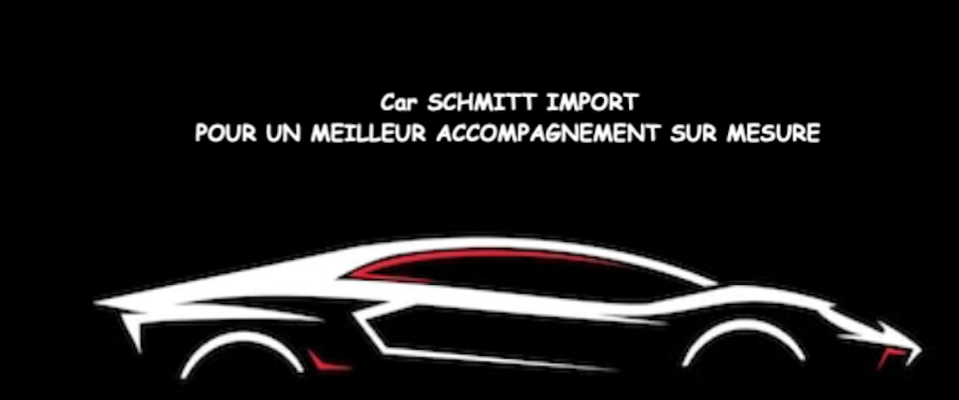 Car SCHMITT IMPORTATEUR MULTIMARQUES